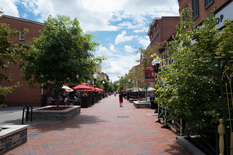 Sunny Day at the Plaza