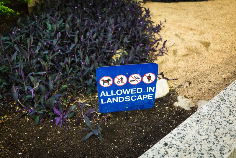 Rules of the Landscape