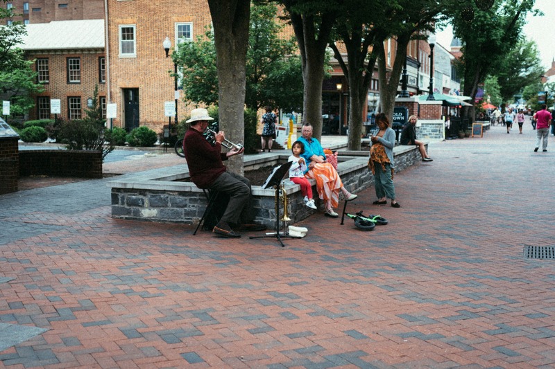 Melody in the Breeze