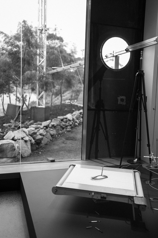 The Intersection of Nature and Art