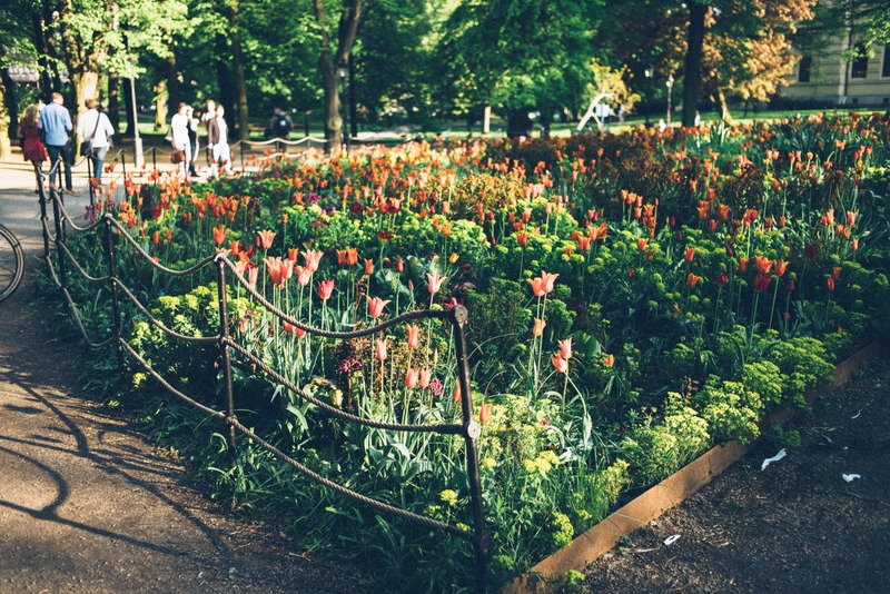 Colorful Spring Garden