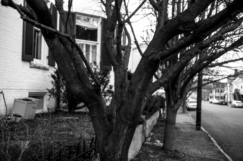 Silent Streets in Winter