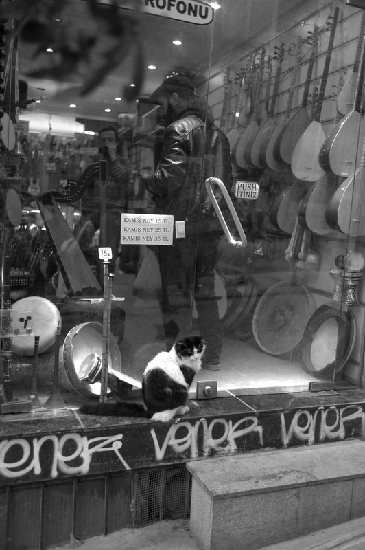 Quiet Solitude in a Music Shop