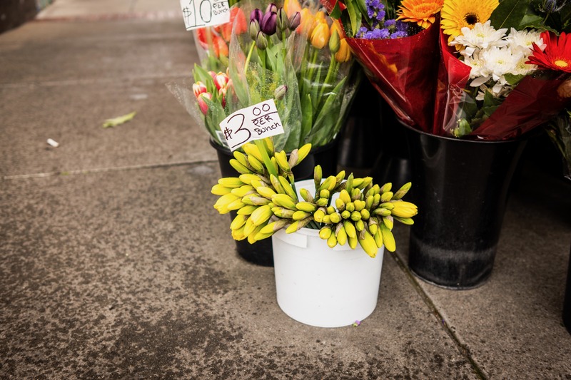 Vibrant Market Blooms