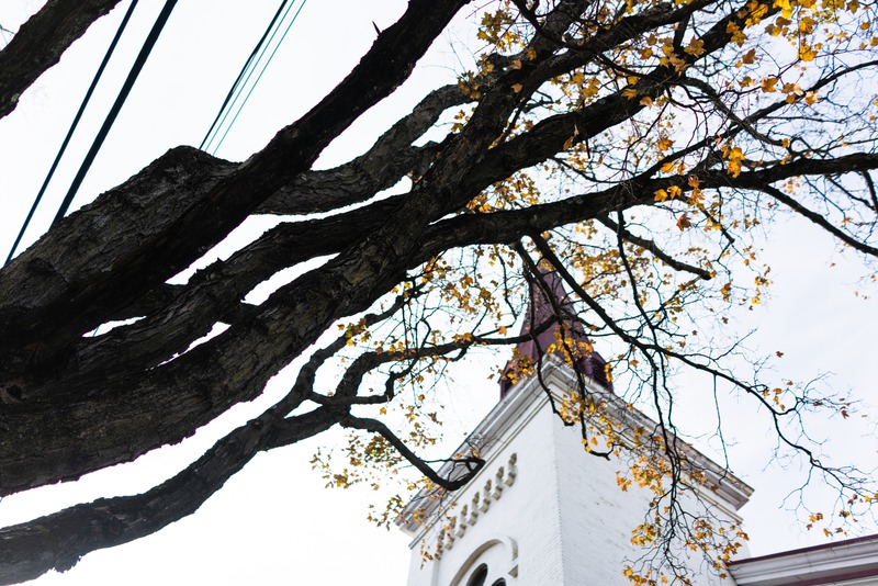 Nature and Architecture Intertwined