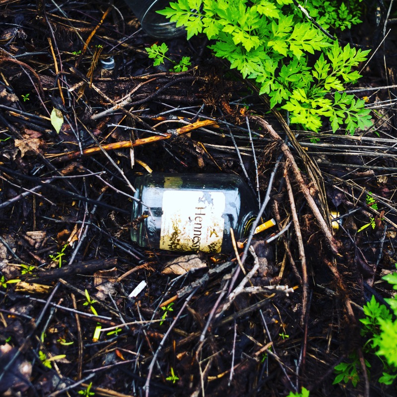 Forgotten Remnants of Leisure