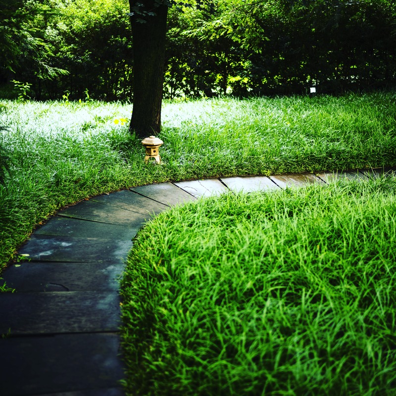 Curved Serenity in Green