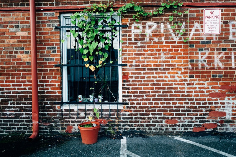 Whispers of Solitude