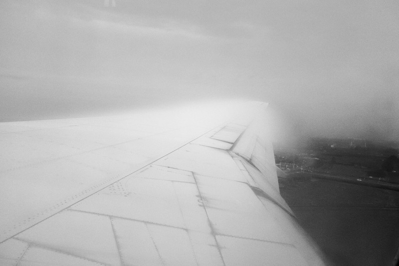 Misty Wing View