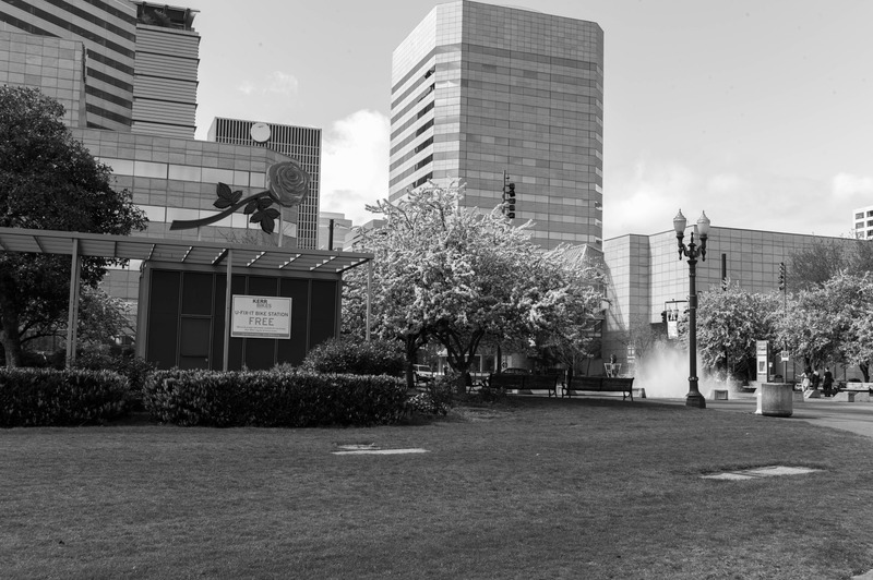 Urban Serenity in Monochrome