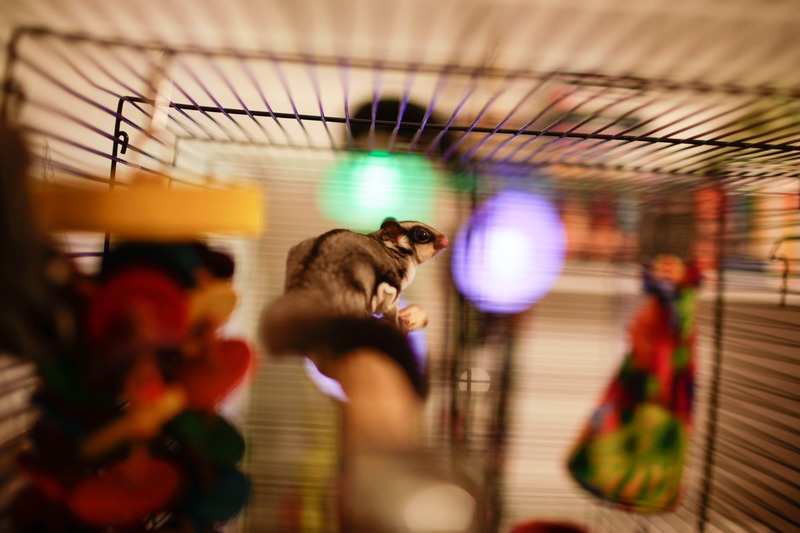 Whimsical Nighttime Adventure