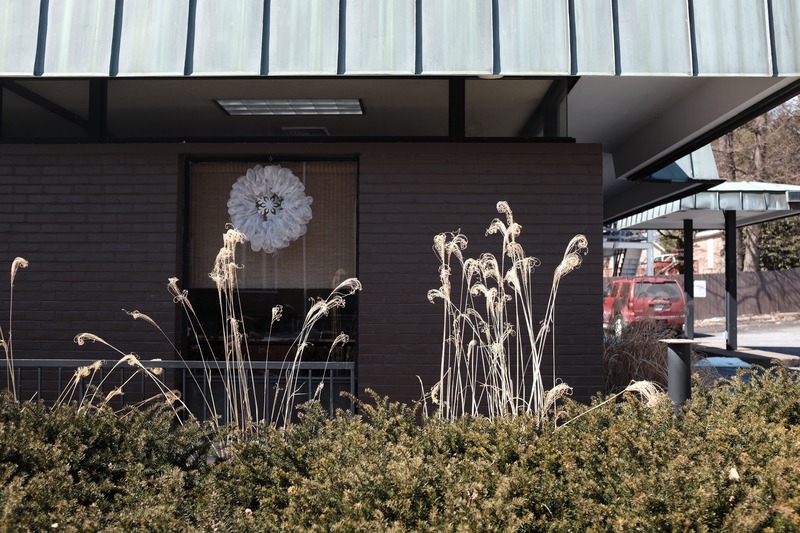 Nature Meets Architecture