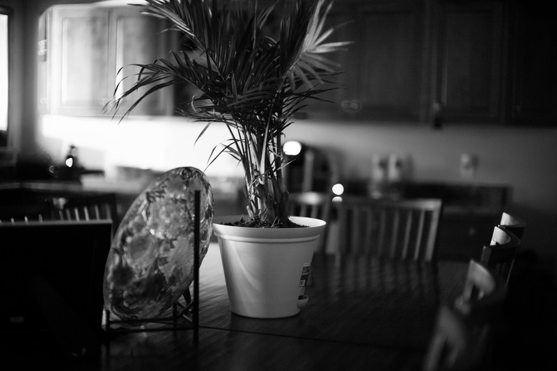 Quiet Domestic Still Life