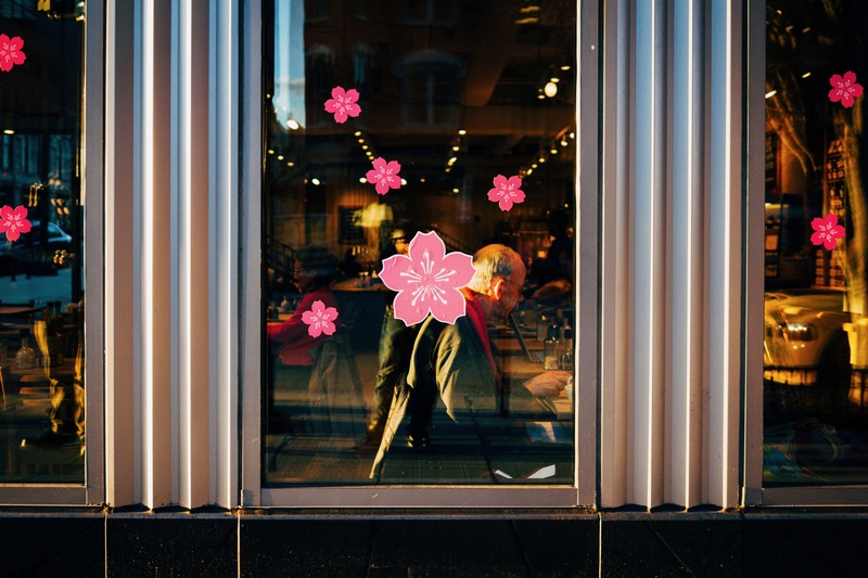 A Glimpse Through the Window