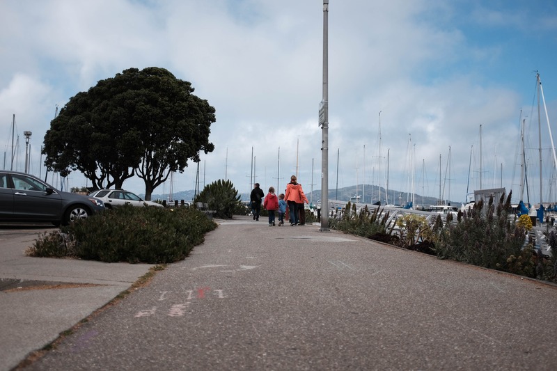 Winding Path by the Marina