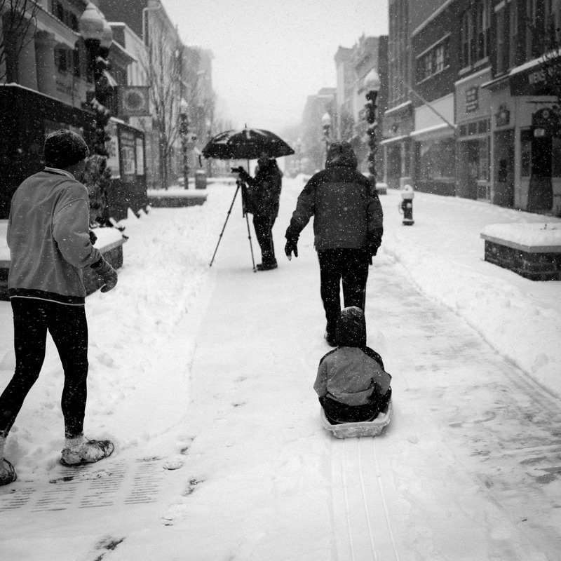 A Winter's Day in Black and White