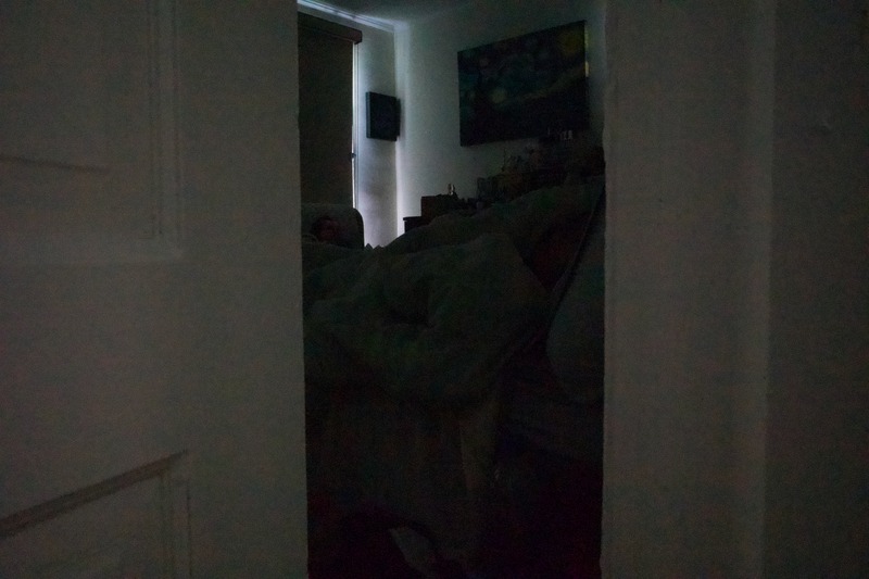 Quiet Shadows of Rest