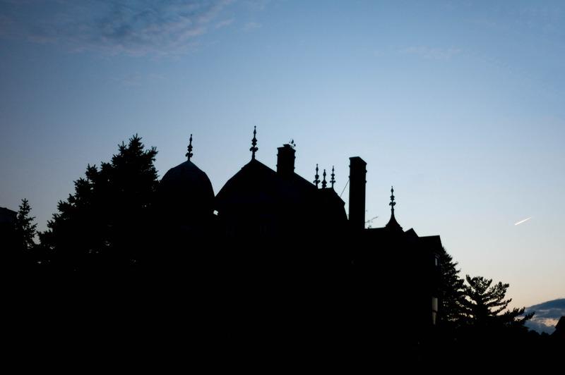 Silhouetted Elegance at Dusk