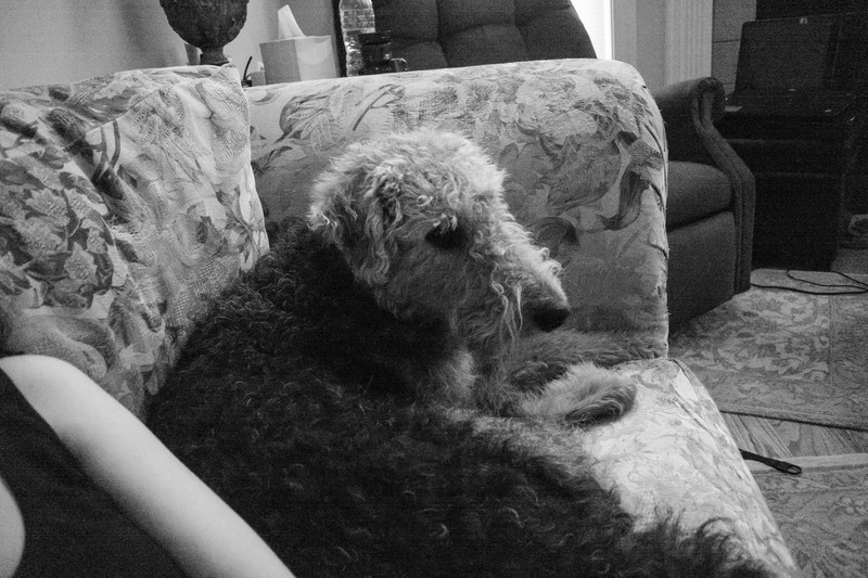 A Moment of Serenity