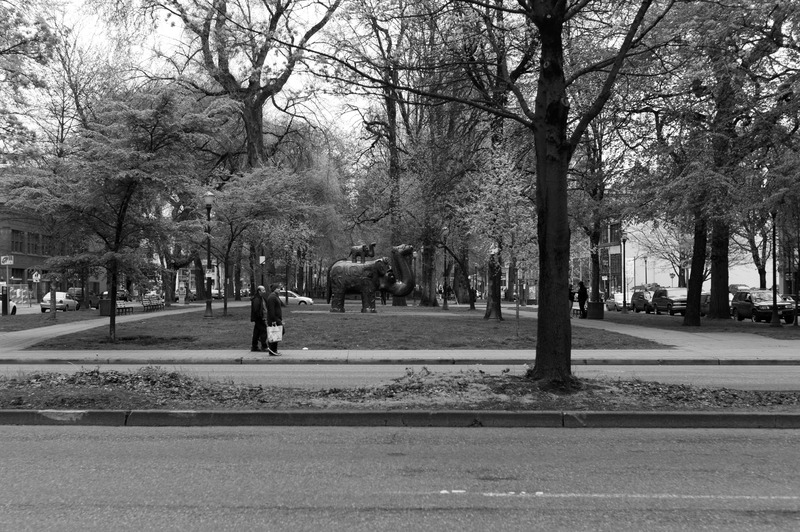 Urban Tranquility in Monochrome