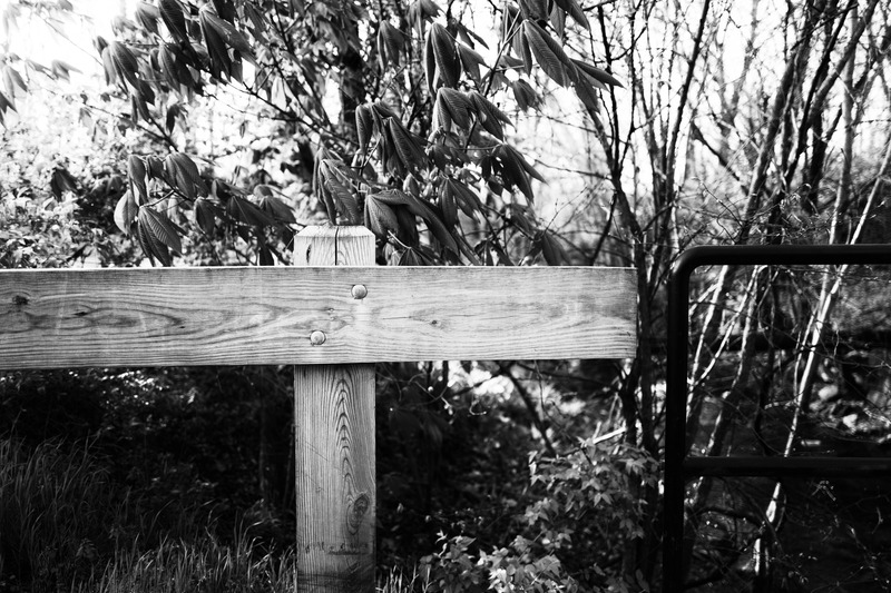 Nature's Simple Boundary