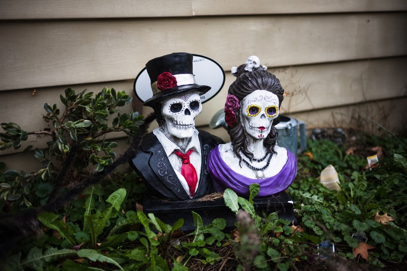 Whimsical Embrace of the Dead