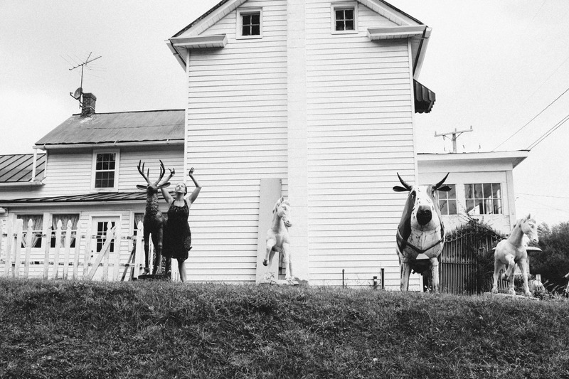 Whimsical Farm Figures