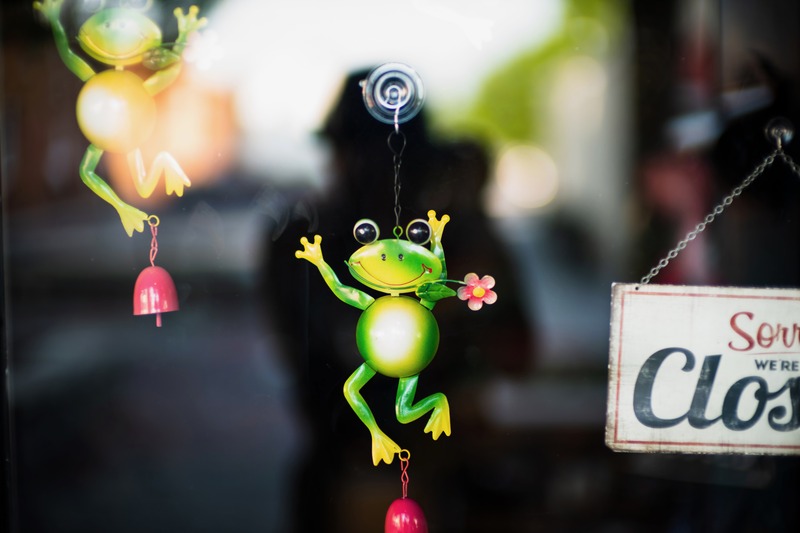 Joyful Frogs in Reflection