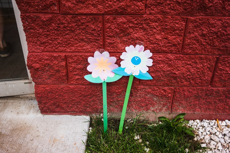 Colorful Garden Cheer