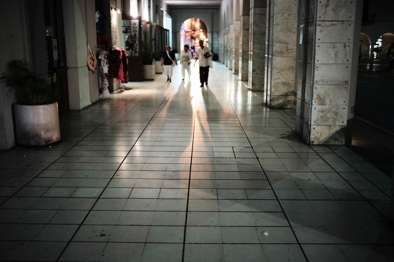 Shadowed Evening Stroll