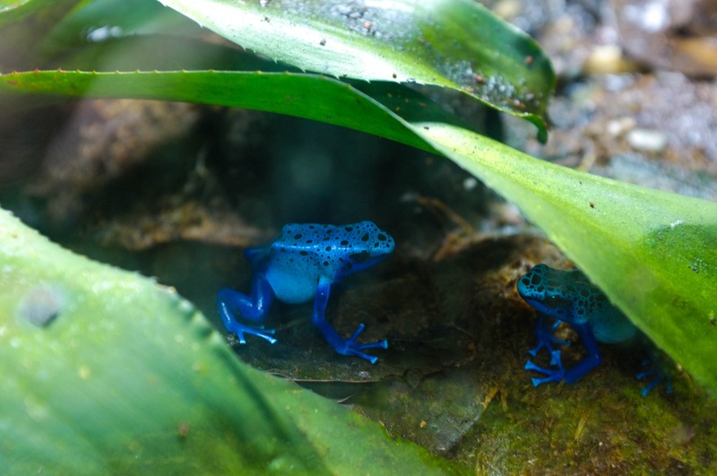 Hidden Gems of Nature