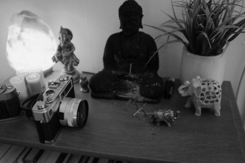 Serenity in Still Life