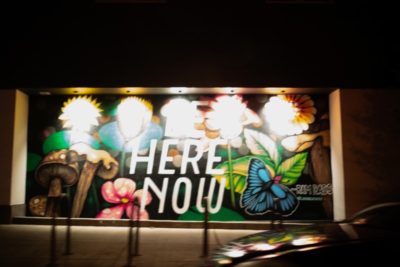 Vibrant Evening Mural