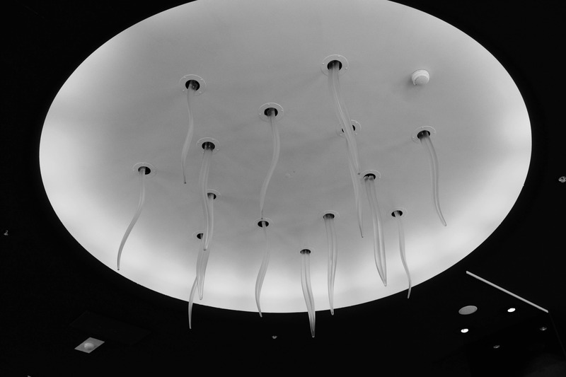 Sculptural Elegance in Light