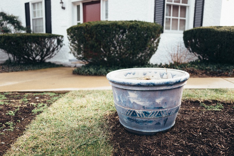 Lonely Planter in a Yard