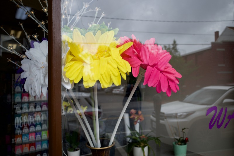 Bright Floral Display
