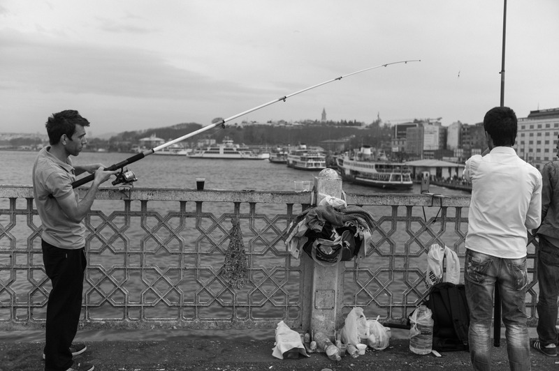 Urban Fishing Serenity