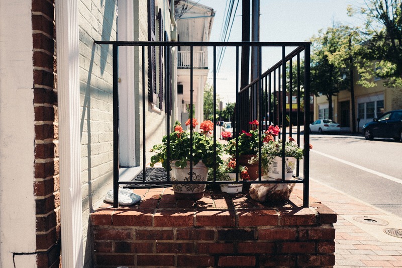 Charming Urban Oasis