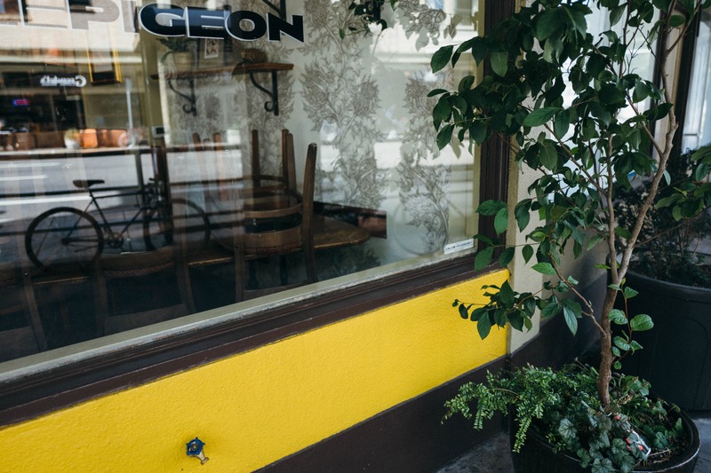 A Glimpse Inside Pigeon