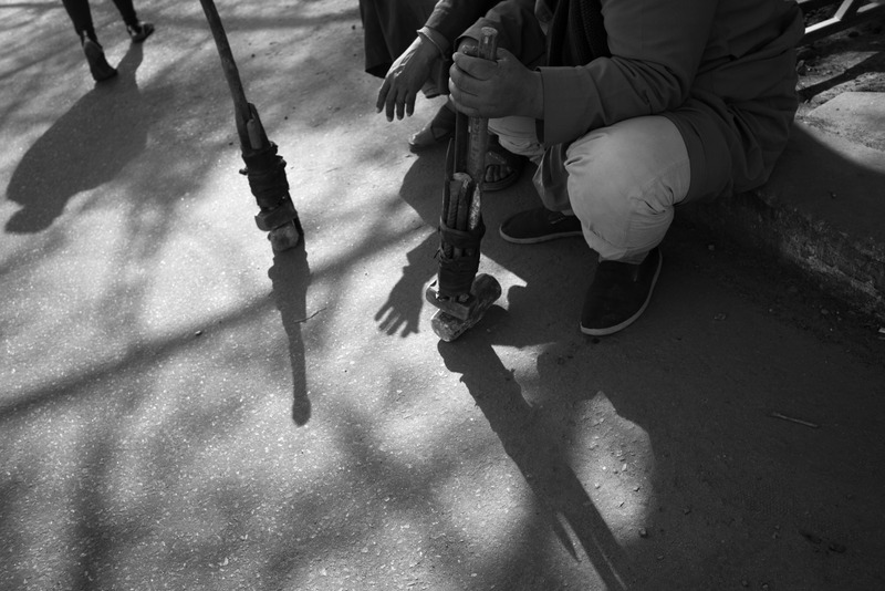 Echoes of Resilience