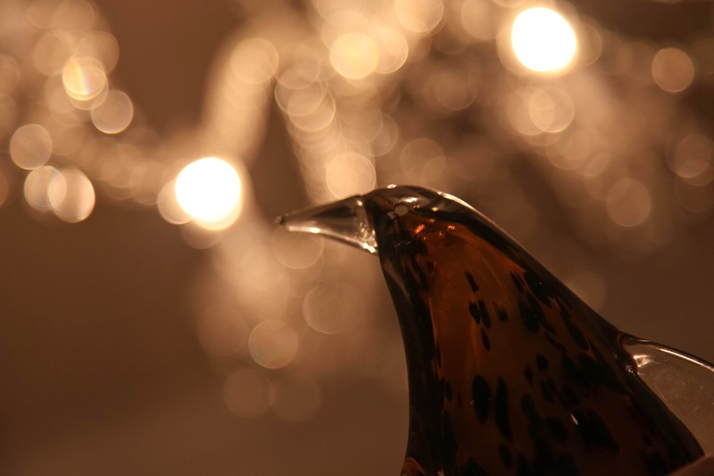 Luminous Bird Silhouette