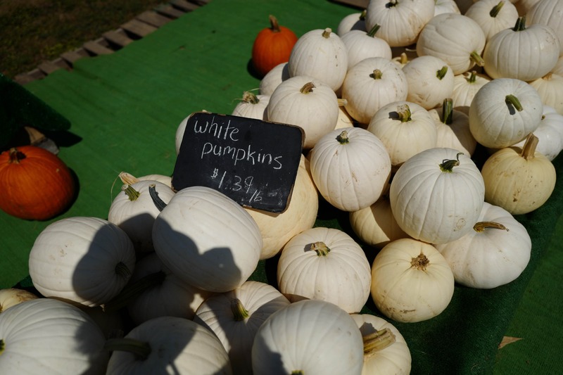 Autumn's Harvest Display