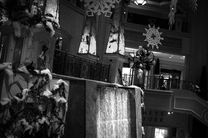 Elegance in Monochrome