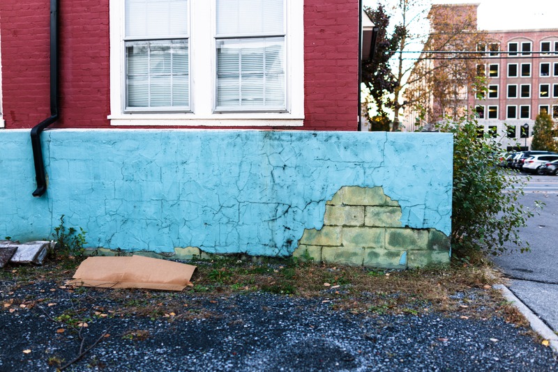 Urban Decay and Color