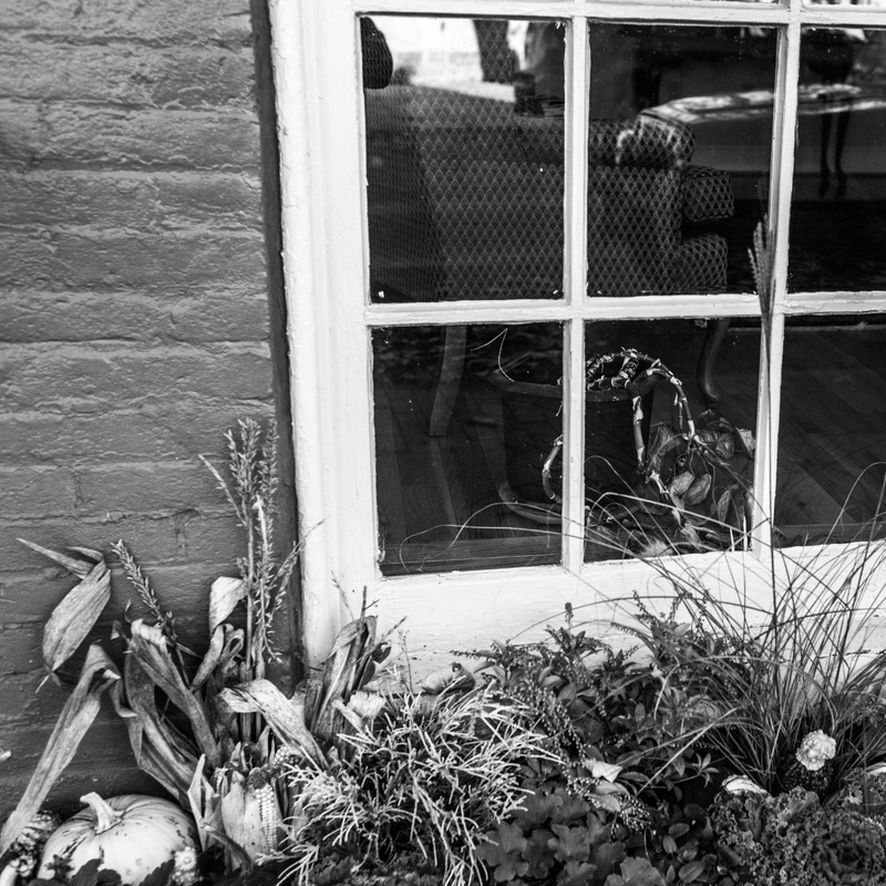 Through the Pane: A Glimpse