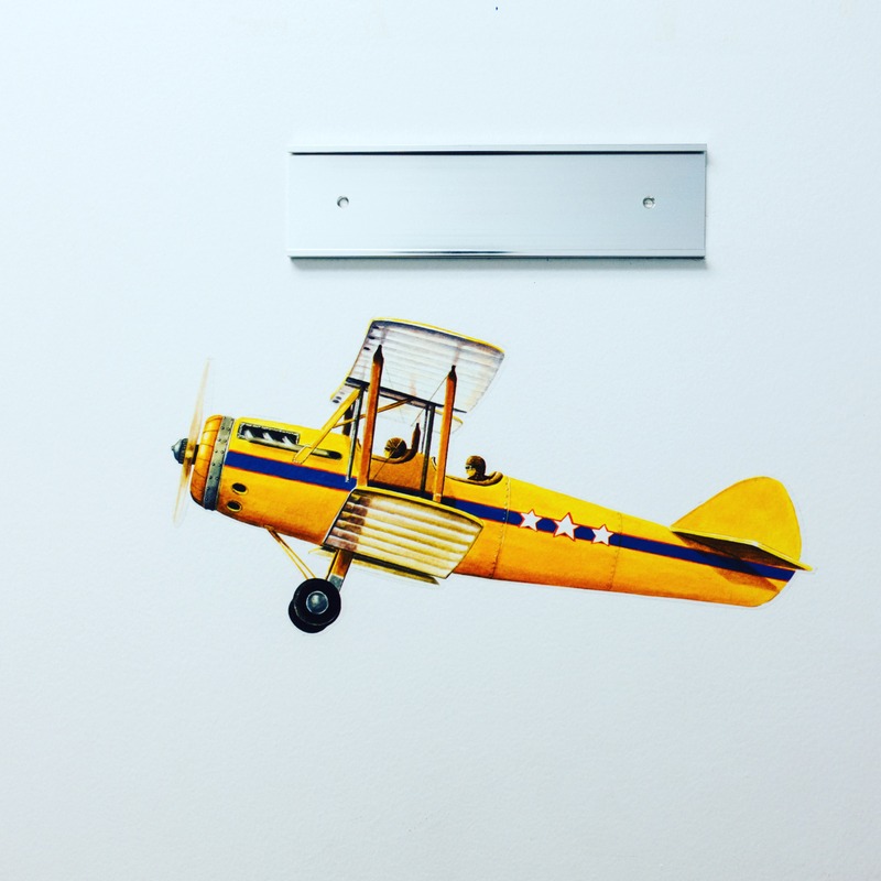 Joyful Aerial Adventure