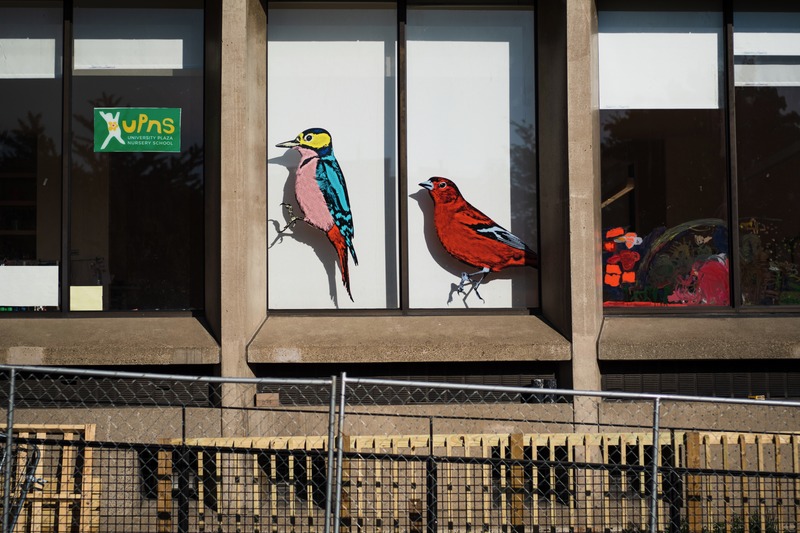 Vibrant Avian Murals