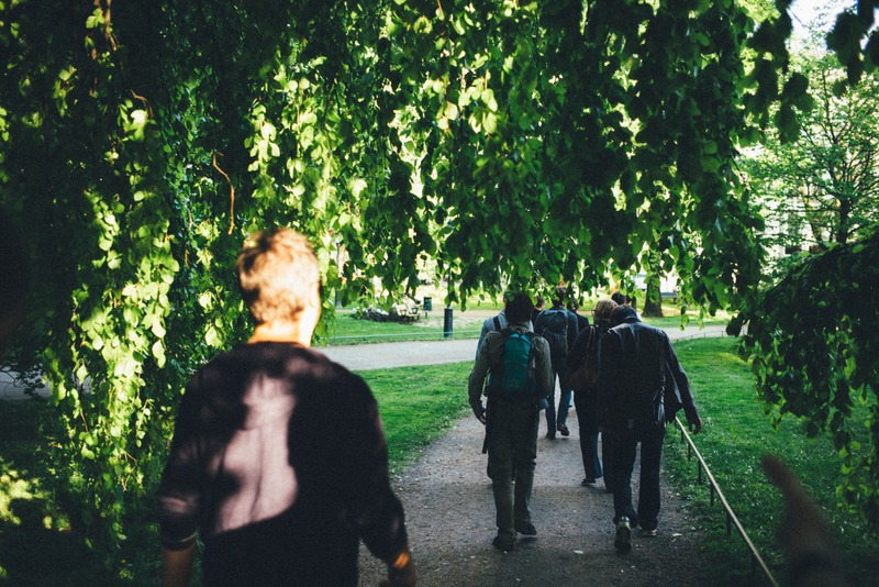 Pathway Through Greenery