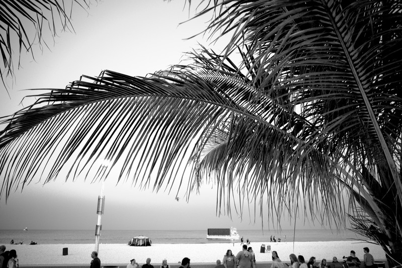 Tranquil Beach Escape