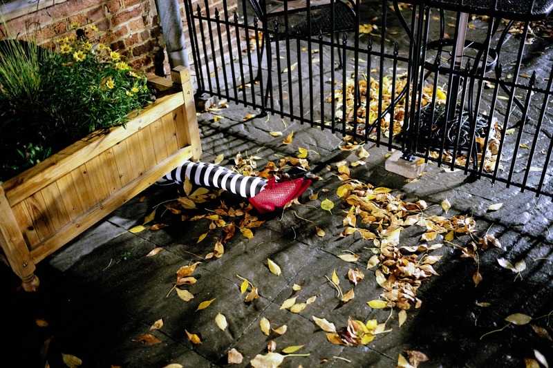 Whimsical Fall Encounter